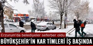 Erzurum'da Kar timleri 7 bin 700 kilometrelik yol ağında görev yapacak