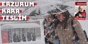Erzurum’da yoğun kar hayatı olumsuz etkiliyor