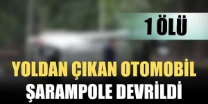 Erzurum'da Yoldan çıkarak devrilen otomobildeki 1 kişi öldü
