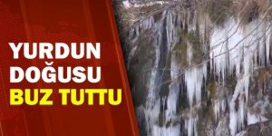 Yurdun doğusu buz tuttu