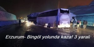 Bingöl-Erzurum yolunda kaza! 3 yaralı