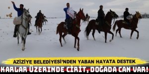Aziziye Belediyesi’nden yaban hayata destek
