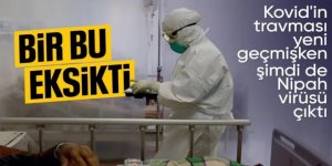 Hindistan'da görüldü: Nipah virüsü yayılıyor mu