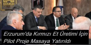 Erzurum’da Kırmızı Et Üretimi İçin Pilot Proje Masaya Yatırıldı