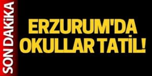 Erzurum'da 3 ilçede olumsuz hava koşulları nedeniyle eğitime ara verildi