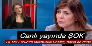 DEM'li Meral Danış Beştaş'ın Öcalan için yaptığı benzetme sunucuyu da şaşırttı