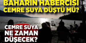 Baharın ikinci müjdecisi yolda: Cemre suya düşecek