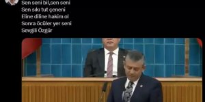 Cumhurbaşkanı Başdanışmanı Saral'dan Özgür Özel'e: "Eline diline hakim ol, öcüler yer seni"
