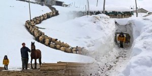 Eksi 30 derecede yaşam mücadelesi