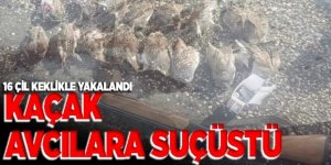 Erzurum'da Kaçak ve usulsüz avlanmaya geçit vermiyorlar