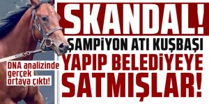 Kuşbaşı yapılan şampiyon yarış atının sahibi ortaya çıktı! "Şubeden aradılar inanamadım"