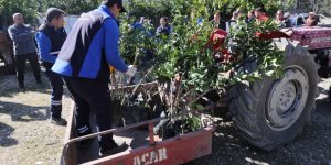 Zirai Dondan Zarar Gören Üreticilere Fidan Desteği