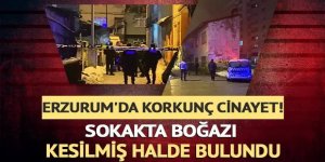 Erzurum'da Sokakta boğazı kesilerek öldürülmüş halde bulundu! Bir şüpheli yakalandı