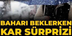 Baharı beklerken kar sürprizi!