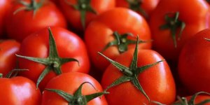 Kilosunu 40 TL'den alıp 5 katı fiyatına sattılar!