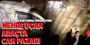 Aras Nehrin de can pazarı!