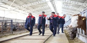 Modern ahırlar Erzurum'da devlet destekleriyle yaygınlaşıyor