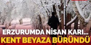 Erzurum'da kar yağışı etkili oldu: Çevre illerle bağlantı kesildi