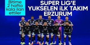Erzurumspor FK, Süper Lig'e çıktı