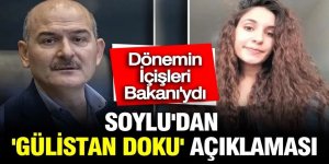 Süleyman Soylu, Gülistan Doku önergesine verdiği yanıtı paylaştı! 4 yıl önce sorulan kritik 5 soru