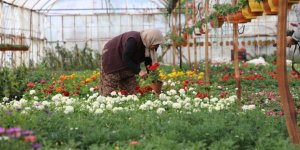 Muğla’da Üretici Kadınlar Meclisi Kuruluyor