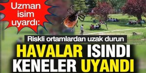 Isınan havalarla kene riski arttı: Uzmanlardan hayati uyarılar