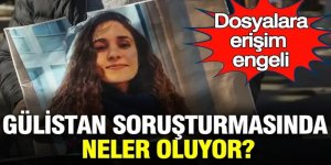Gülistan Doku soruşturmasında neler oluyor? Dosyalara erişim engeli