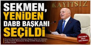 Sekmen, yeniden DABB Başkanı seçildi