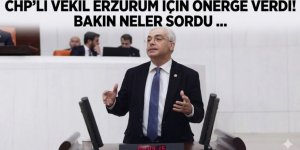 CHP'li vekil Erzurum için önerge verdi!