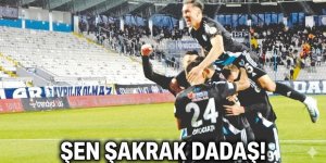 Şen şakrak Dadaş!