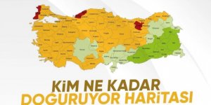 Doğurganlık hızı düştü! Geçen yıl 895 bin 374 bebek doğdu