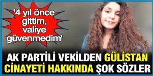 AK Partili vekilden Gülistan Doku cinayeti hakkında şok sözler: 4 yıl önce gittim, valiye güvenmedim