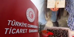 Zeytinin tanesi 50 TL: Bakanlık harekete geçti, para cezası geldi