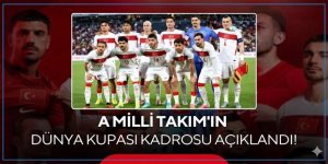 A Milli Futbol Takımımızın Dünya Kupası kadrosu açıklandı