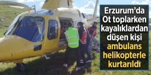 Erzurum'da Ot toplarken kayalıklardan düşen kişi ambulans helikopterle kurtarıldı