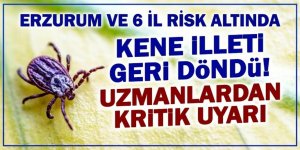 Erzurum ve 6 il Risk altında! Uzmanlardan KENE uyarısı
