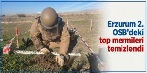 Erzurum 2. OSB'deki top mermileri temizlendi