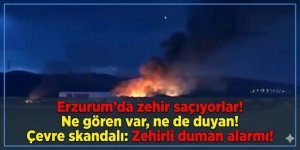 Erzurum'da zehir saçıyorlar! Ne gören var, ne de duyan!