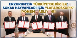 Erzurum’da Türkiye’de Bir İlk: Sokak Hayvanları İçin "Laparoskopik" Dönem Başlıyor!