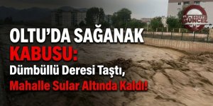 Oltu'da Sağanak Kabusu: Dümbüllü Deresi Taştı, Mahalle Sular Altında Kaldı!