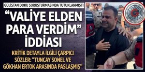 Gülistan Doku soruşturmasında tutuklanmıştı! Şirket sahibinden 'Valiye elden para verdim' iddiası