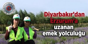 Diyarbakır'dan Erzurum'a uzanan emek yolculuğu