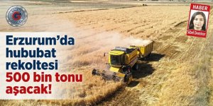 Erzurum'da hububat rekoltesi 500 bin tonu aşacak!