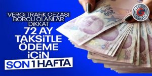 Dikkat! Kamu borç yapılandırmasında son gün: 31 Ağustos