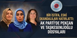 Bir İstifa, Eski Skandalları Hatırlattı: AKP'de Pekcan ve Taşkesenlioğlu Dosyaları
