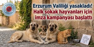 Erzurum Valiliği yasakladı! Halk sokak hayvanları için imza kampanyası başlattı