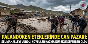 PALANDÖKEN ETEKLERİNDE CAN PAZARI