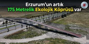 Erzurum Kuzey Çevre Yolu'nda Tehlike Sona Erdi: 175 Metrelik Ekolojik Köprü Hizmete Hazır