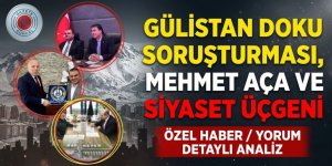 Gülistan Doku Soruşturması, Mehmet Aca ve Siyaset Üçgeni: "Hayırsever" Profilinden Cezaevine Uzanan Süreç