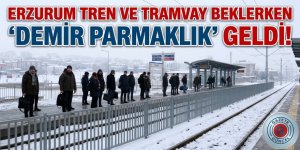 DADAŞ TREN VE TRAMVAY BEKLERKEN 'DEMİR PARMAKLIK' GELDİ!